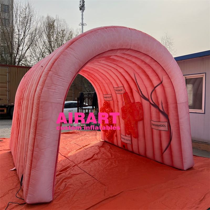 Large Inlfatable Medical Models Customized Size Inflatable Large Intestine Tunnel,inflatable Human ...