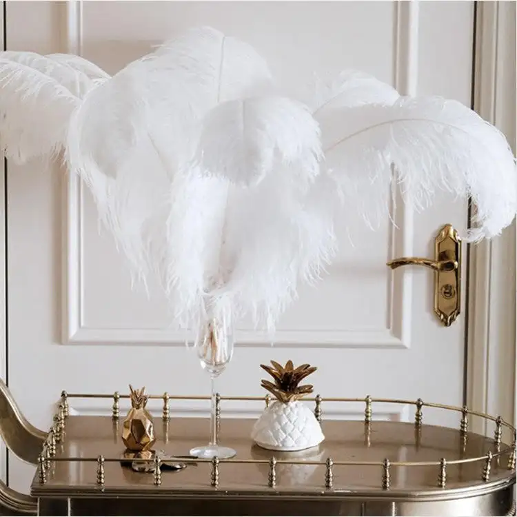 Customizable pure natural white ostrich feather 15 to 75 cm stage costume home decoration diy colorful feather