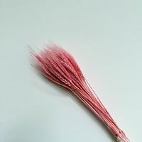 Tiges de blé préservées arc-en-ciel tendance, écologiques, 60 tiges par bouquet, vente en gros pour la décoration de vases à la maison, de mariages et d'événements