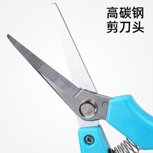 Blue Stemmed Straight Headed Fruit Picking Shears Stainless Steel Bypass Pruner 10-20 Mm Trimming Diameter Gardening Tool - Product Image 3