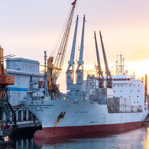 LCL Sea Shipping prezzi spedizioniere in vietnam Uk singapore russia canada messico usa dalla cina spedizione diretta via mare Export