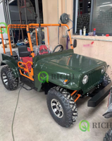 Buggy tout-terrain 200cc pour adultes, puissance fluide, maniabilité facile, idéal pour le désert, la montagne, les loisirs en plein air, l'aventure