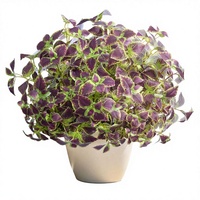 5 plantes artificielles de Coleus résistantes aux UV, en soie, pour jardin extérieur, patio, jardinière suspendue, allée, décoration de porche avant