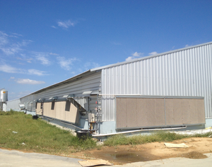 ชุดอุปกรณ์เลี้ยง<span class=keywords><strong>ไก่</strong></span>แบบอัตโนมัติ ChickTech รุ่นใหม่ PP ควบคุมอัจฉริยะ สำหรับให้อาหารและน้ำในโรงเรือน/บ้านเลี้ยง<span class=keywords><strong>ไก่</strong></span> แบบเลี้ยงพื้นดิน - Product Image 5