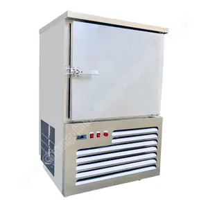 Freezer cepat freezer nitrogen cair-80 digunakan freezer ledakan