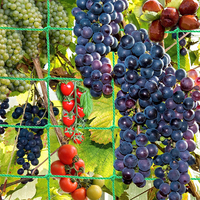 Tralie-netten, herten-netten, tuin-netten, leveranciers van tralie-netten, groene tralie-netten, plantenondersteunende gaas