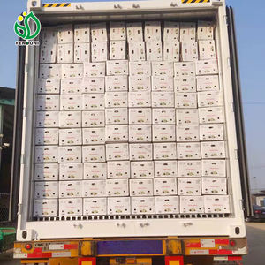 Ajo solo blanco normal a granel de China Proveedor de ajo fresco Semillas de ajo para <span class=keywords><strong>plantar</strong></span> - Product Image 6