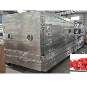 Lyophilisateur industriel automatique sous vide, machine de séchage par congélation, capacité 50-500 kg, traitement alimentaire, pompe en acier inoxydable SUS304 - Product Image 1