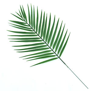 قطعة واحدة اصطناعية شجرة نخيل الأريكاه أوراق جوز الهند البلاستيك الأخضر سلة زهور الزفاف الديكور الأوراق الخضراء - Product Image 4