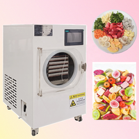 2025 Mini Vacuüm Vriesdroger Voor Voedselverwerking Kleine Vriesdroogmachines Voor Dierenvoeding Fruit Groenten Plc Motor