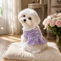 Robe personnalisée pour chien en velours doux avec col en dentelle, boutons perlés, garniture dorée, style péplum, vêtements pour animaux de compagnie, tenue à volants pour chiots et chats, vente en gros OEM