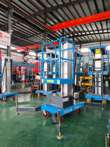 Plataforma de elevación aérea de un solo mástil <span class=keywords><strong>para</strong></span> la opción de manejo de decoración de pisos de Edificios - Product Image 6