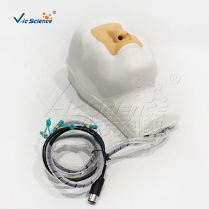 Modelo <span class=keywords><strong>de</strong></span> Simulación <span class=keywords><strong>de</strong></span> Hemorragia Nasal <span class=keywords><strong>de</strong></span> Alta Precisión, Modelo <span class=keywords><strong>de</strong></span> Estructura <span class=keywords><strong>de</strong></span> Cavidad Nasal <span class=keywords><strong>de</strong></span> PVC para Primeros Auxilios y Educación Médica - Product Image 2