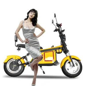 New Adult 2000W Electric Motorcycle With 2 Seat Citycoco Electric Scooter Chopper Style EEC COC Certificate Shipping To Door