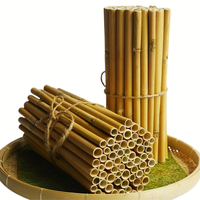 Azanature Pajitas de Hierba Lepironia 100% Naturales Biodegradables, Ecológicas, Sin Plástico, Inodoras, Sin Sabor, Desechables