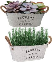 Wadah Tanaman Sukulen Logam Kecil Pedesaan Ember dengan Pegangan Benang Rumah Pertanian Tanaman Herbal Sukulen Pot Bunga