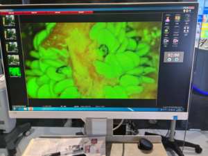 Kernel KN-2200BI Goedkope Microscoop Kopen Chirurgische Werkende Microscoop Draagbaar - Product Image 3