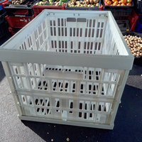 Caisse pliante en plastique blanc haute résistance, grande, épaisse, pour la logistique industrielle