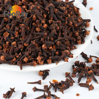 100g Clous de girofle séchés en sachet refermable, épices authentiques pour la cuisine de restaurant, rôtissage de viande, assaisonnement culinaire, préparation quotidienne