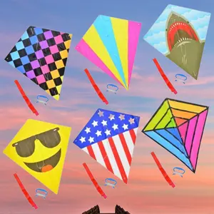 OEM/ODM LOGOコマーシャルプロモーション大人のためのWeifang凧ダイヤモンドカスタム凧を描く宣伝凧を教える