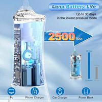 H2ofloss blanchissant irrigateur Oral eau dents dentaires 300ml Portable irrigateur dentaire nettoyant pour les voyages à domicile