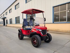 Voitures de golf électriques 2 places à prix avantageux, buggy de golf à vendre - Product Image 3