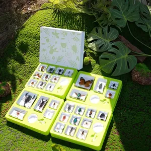 Espécimen de taxidermia con pisapapeles del mundo de los insectos en resina, regalo del insecto, recursos didácticos, juguetes naturales, suministros educativos - Product Image 6