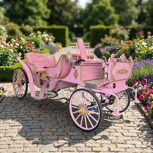 Carruaje de Caballos Victoria para Turismo, de Bajo Precio y Alta Demanda, Color Rosa, para Bodas al Aire Libre y Viajes, Carruaje Eléctrico sin Caballos - Product Image 1