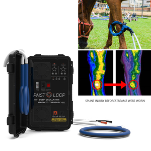 Máquina de Terapia Magnética PEMF 3 en 1 para Animales Equinos, Alivio del Dolor Muscular, 6T, Ecológica, Sin Aditivos - Product Image 2