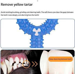 Nuovo commercio all'ingrosso di cane giocattoli da masticare TPR formazione morso resistenza denti bastone molare forma di osso materiale plastico corda cane gioco gatti - Product Image 4