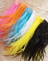 1M de plumes d'autruche blanches teintées et duveteuses, franges de 8-10cm, ruban de plumes pour décoration de mariage, fête, robe, vêtements, couture et artisanat