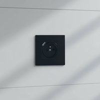 Enchufe de Pared Francés 2P+T de 16A 250V, Material Plástico de PC Ignífugo, Estándar Europeo, con Puertos USB Tipo A y Tipo C, Gran Venta