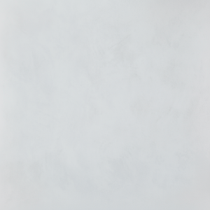 แผ่นผนังป้องกันเชื้อราแผ่นโฟมรักษาสิ่งแวดล้อม - Product Image 1