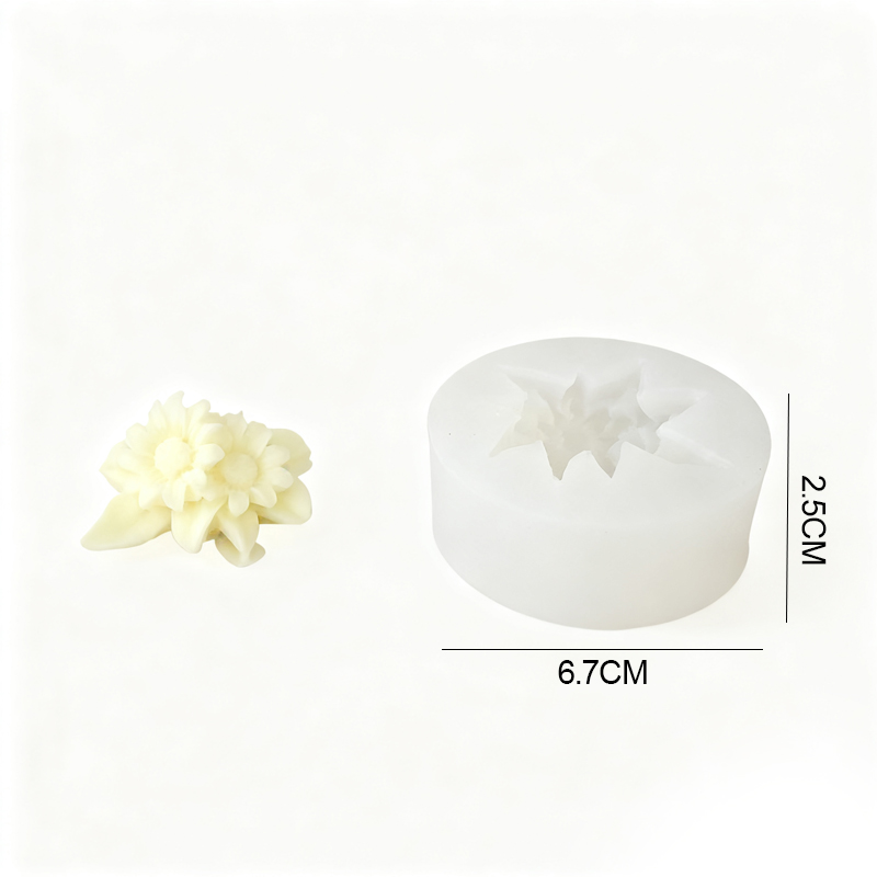 Modèle blanc-4