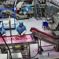 Exportprijs Chinese vruchten voor smoothies en desserts/Topkwaliteit Beste prijs Gehele diepvriesvruchten Groothandel Verse IQF Diepvries Bosbessen