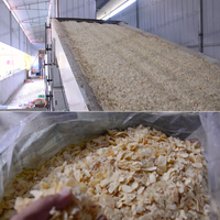 Automatische Knoflook Verwerking Machines Knoflook Poeder Productielijn Knoflook Poeder Maken Van Apparatuur