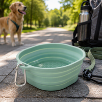 Vente en gros de bols à eau pour chien en silicone pliables, portables, de voyage, d'extérieur, de qualité alimentaire, sans BPA, imperméables et colorés