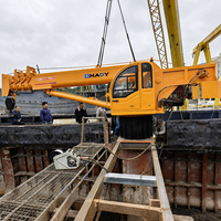 Grue de pont marine hydraulique pliante de 5 tonnes pour le chargement et le déchargement de marchandises sur navires et bateaux, et les levages offshore