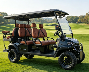 Voiture de golf homologuée CE 48V 6 places pour le tourisme et les visites, homologuée pour la route - Product Image 5