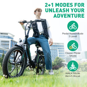 <span class=keywords><strong>Vélo</strong></span> pliant <span class=keywords><strong>électrique</strong></span> <span class=keywords><strong>HITWAY</strong></span> BK6SL 250W pour batterie lithium 36V, Shimano 7 vitesses, alliage d'aluminium, pneus plats de 20 pouces, certifié CE - Product Image 6