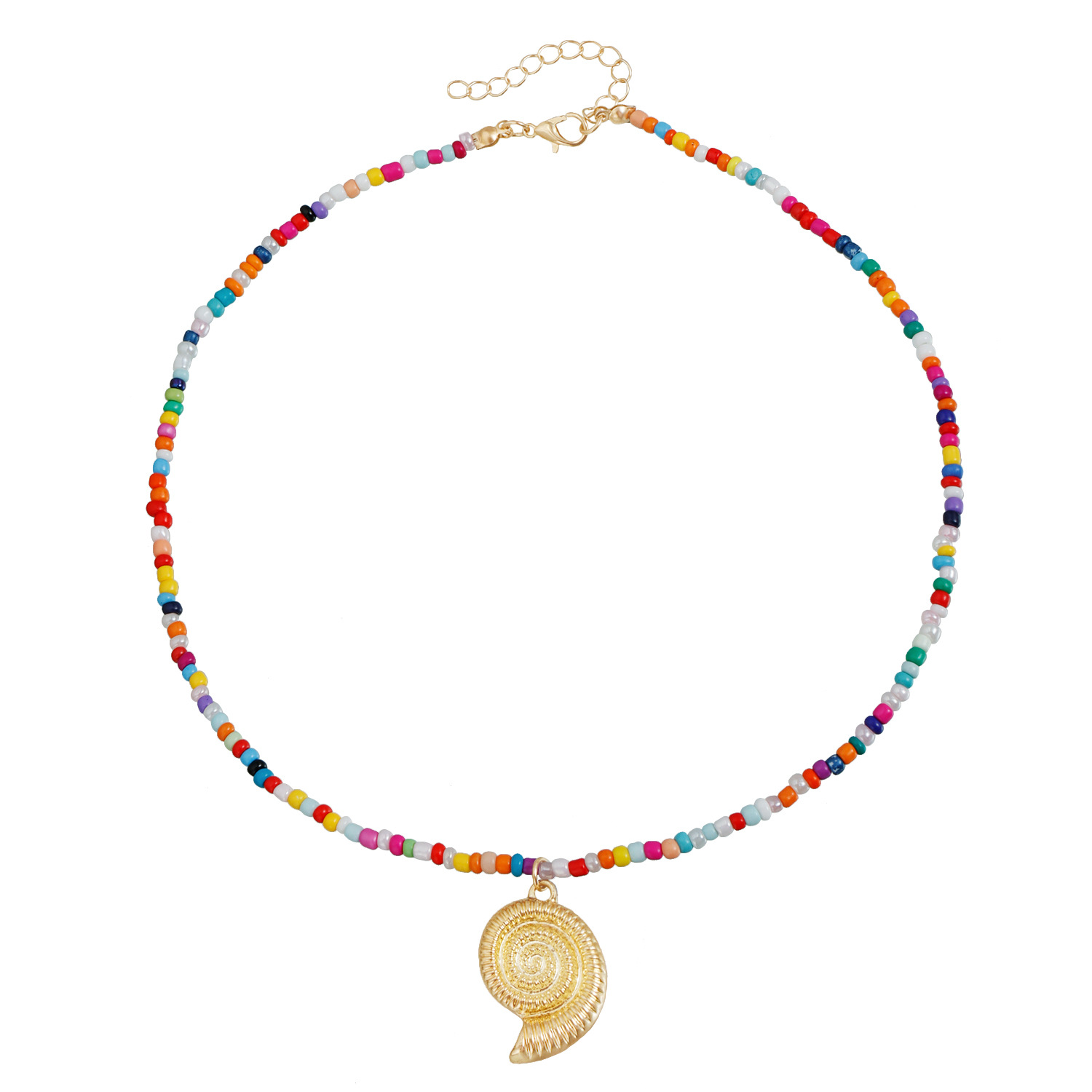 หอยสังข์แบน5