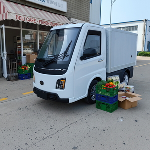Furgone Elettrico Urbano per Consegne dell'Ultimo Miglio, Capacità di Carico 650kg - Product Image 3