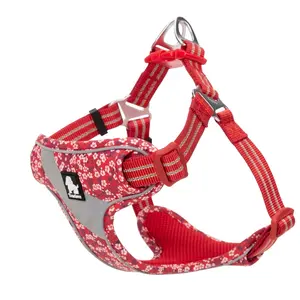Imbracatura per cani imbracature per cani da compagnia dal Design personalizzato leggero Set di imbracature per cani con strato d'aria in poliestere imbottito morbido regolabile