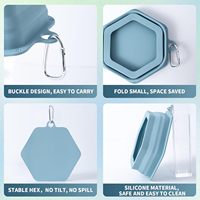 Bol pliable en silicone pour chien, distributeur d'eau et de nourriture pour chien, sans BPA, bol pliable en silicone pour chien pour les voyages, le camping