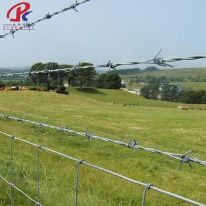 Fil barbelé de sécurité haute intensité en acier, fabriqué en treillis métallique - Product Image 4