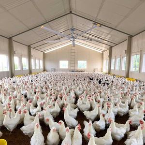 Giá Rẻ Giá Big Ass Pmsm 220V 380V DC Động Cơ 8ft <span class=keywords><strong>250Mm</strong></span> Công Nghiệp Quạt Trần Cho Kho Phòng Tập Thể Dục Hội Thảo - Product Image 2