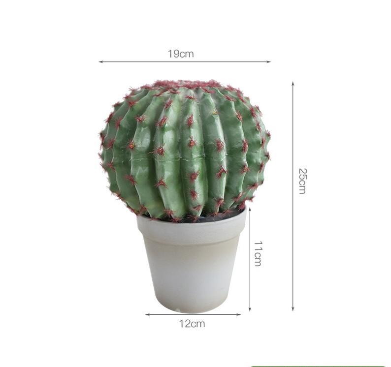 petit cactus en velours rouge