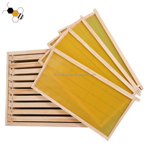 Colmena <span class=keywords><strong>de</strong></span> abejas <span class=keywords><strong>de</strong></span> madera australiana completa con marco para equipo <span class=keywords><strong>de</strong></span> apicultura doble 10F colmena <span class=keywords><strong>de</strong></span> profundidad completa - Product Image 2