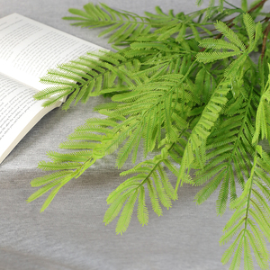 Vente en gros de plantes artificielles <span class=keywords><strong>mimosa</strong></span> en matériaux doux Feuilles de <span class=keywords><strong>mimosa</strong></span> au toucher réel Feuilles de <span class=keywords><strong>mimosa</strong></span> au toucher quantité minimale de commande bas Plantes artificielles - Product Image 2