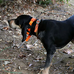 Antena de 57 cm para Collar de Rastreo de Perros Garmin Astro 320 220 DC30 DC40 DC50 T5 TT10 TT15 T5mini - Product Image 2